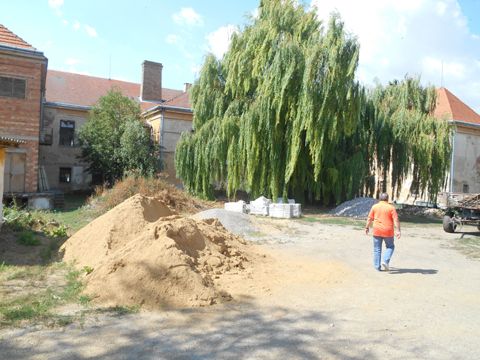 Foto 7